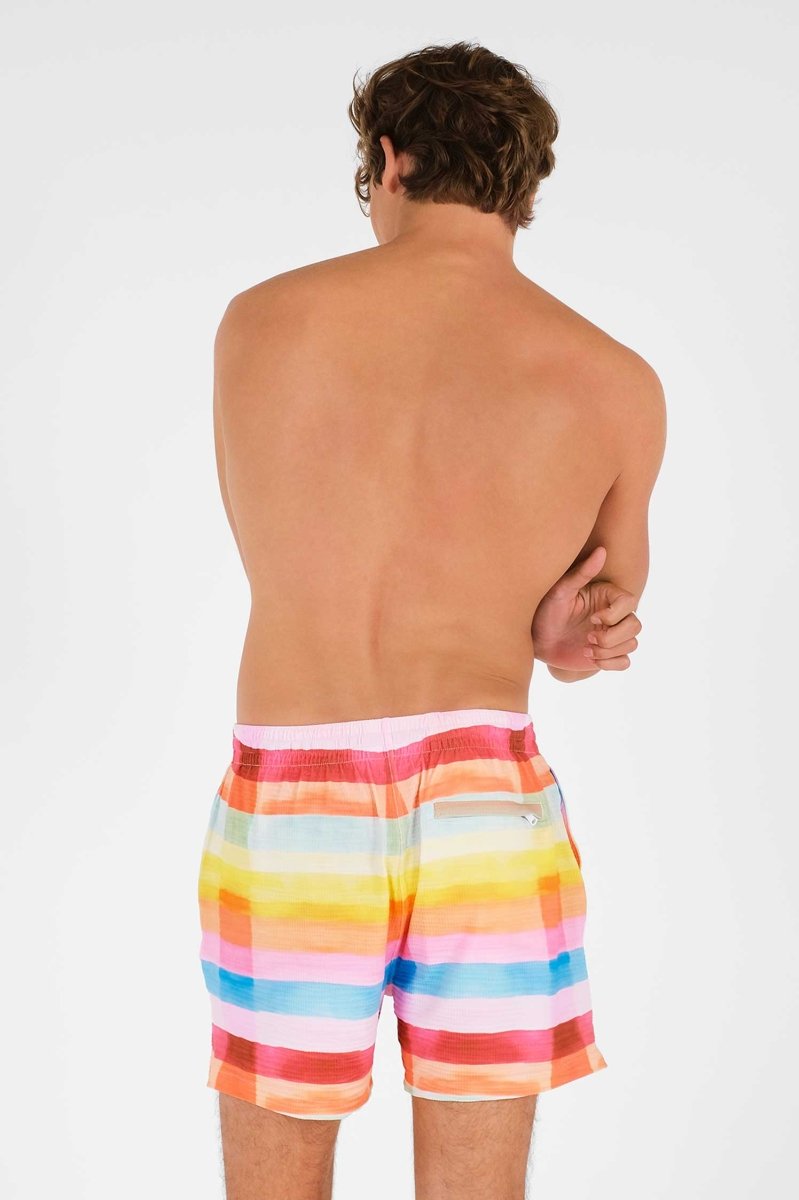 Men's Swim Shorts / Day Trippin' FINAL SALE