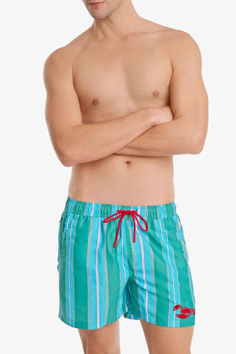 Men's Board Shorts / Good Catch Stripe